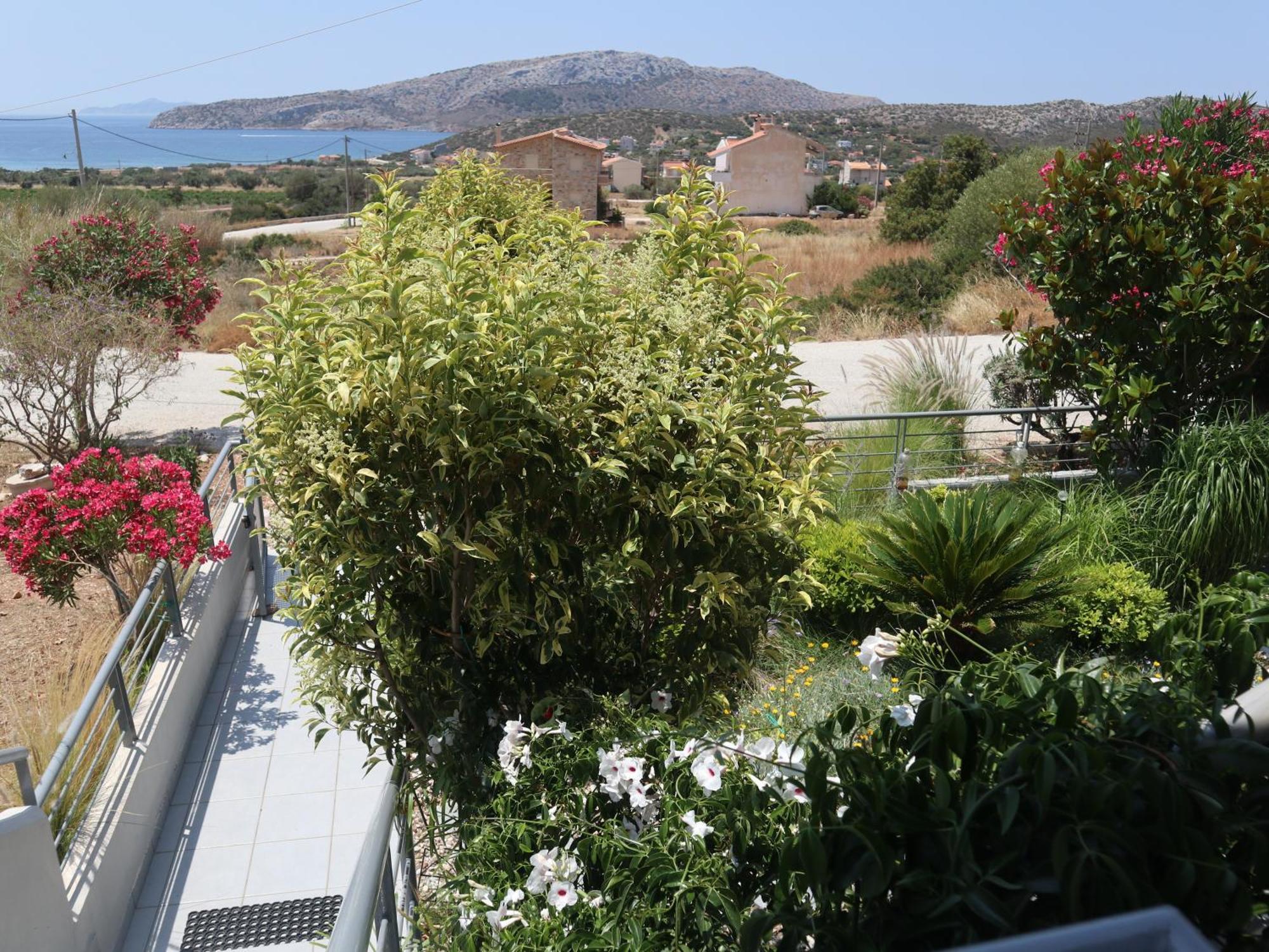 Patroclos Seaview Sounion Esterno foto